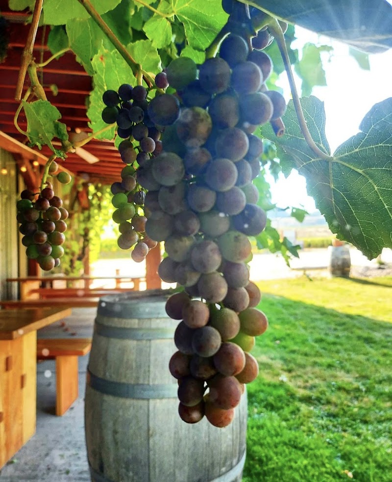 Stoneboat Vineyards 5