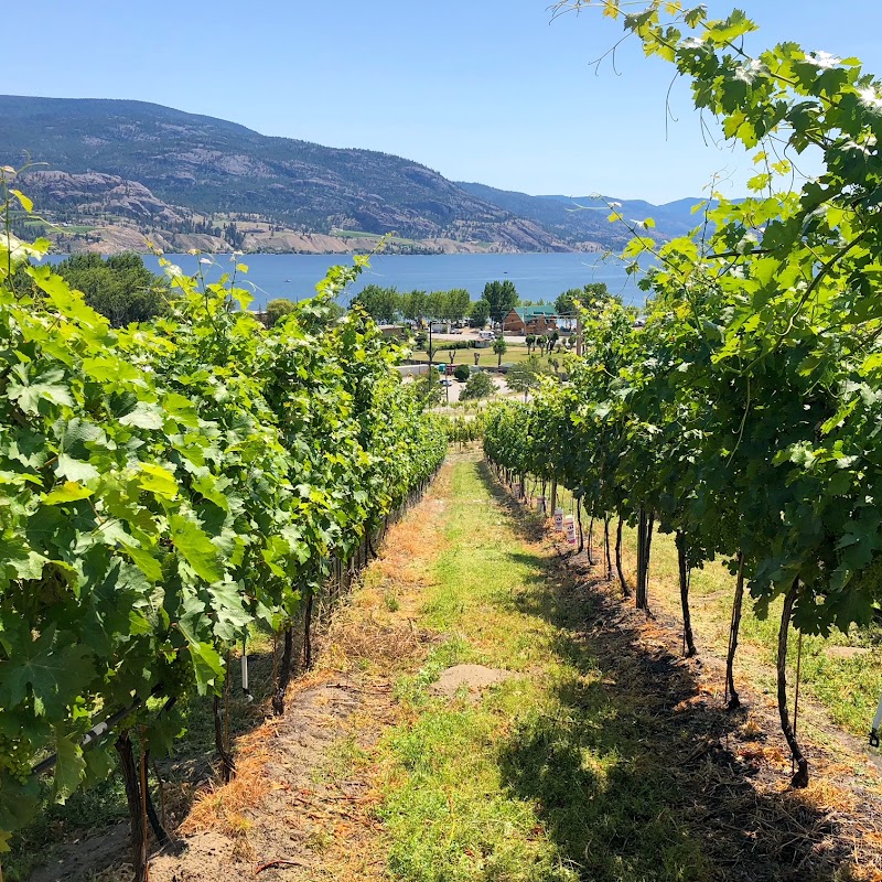 Play Estate Winery — photo 1