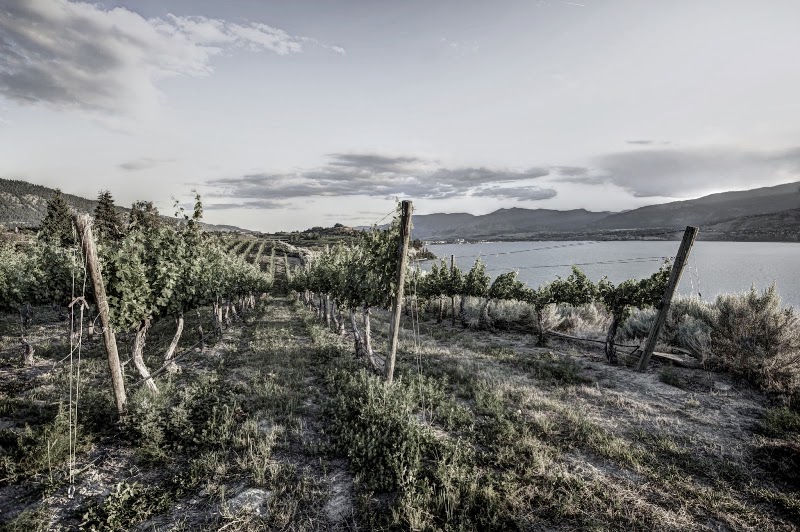 Lock & Worth Winery — photo 1