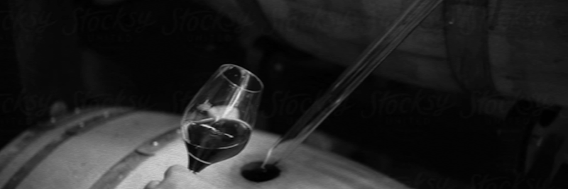 Spacedog Wines — photo 1
