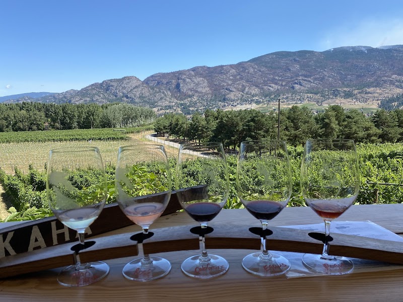 Kraze Legz Vineyard and Winery / SKAHA Vineyard 3