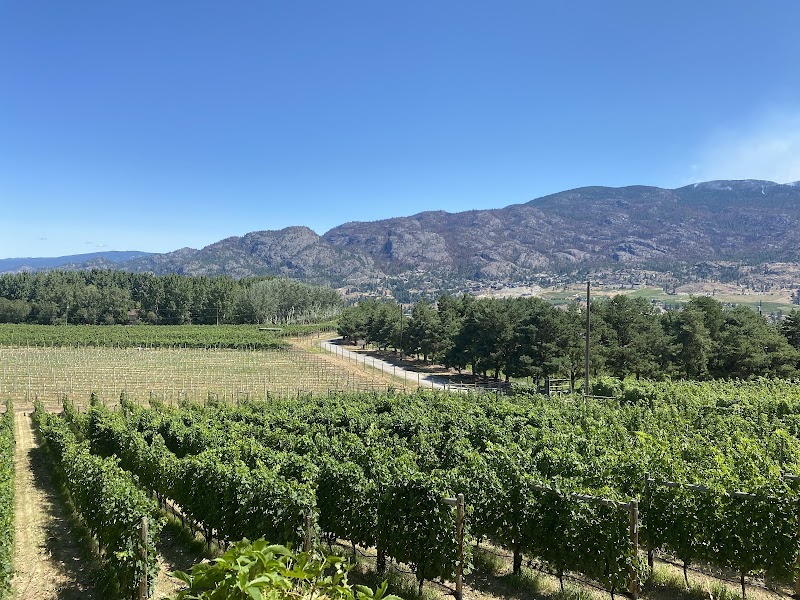 Kraze Legz Vineyard and Winery / SKAHA Vineyard 5