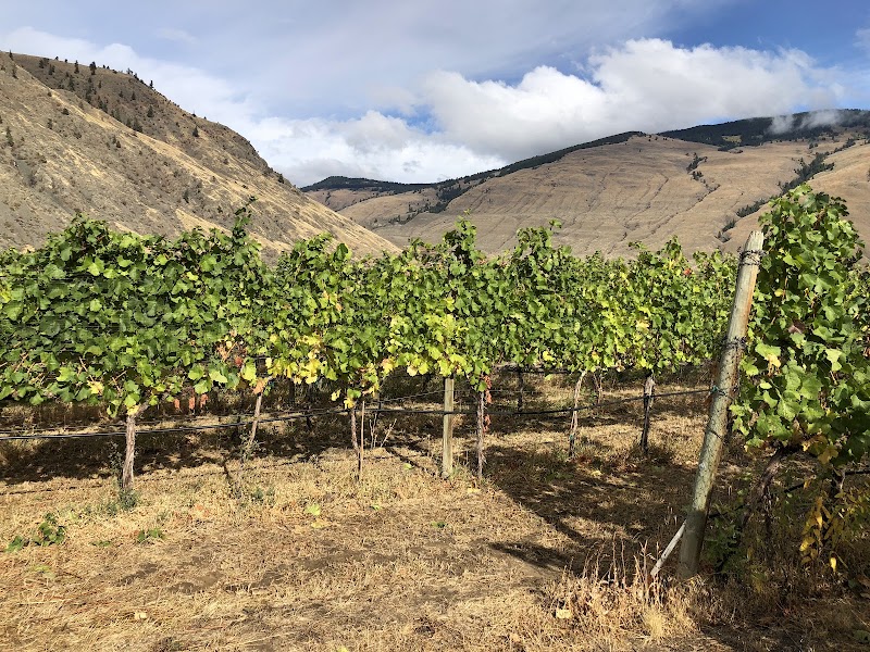 Orofino Winery 2