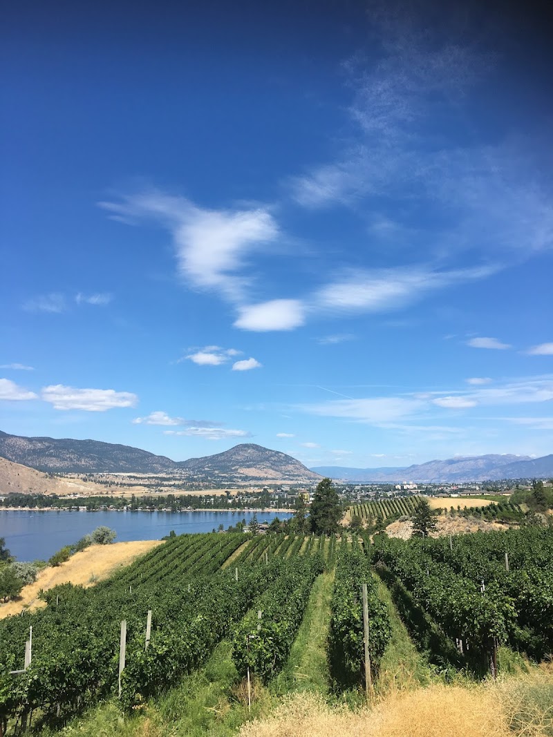 Pentâge Winery – Wine shop will reopen May 15, 2026. Sales & online order pickups by appointment. 3