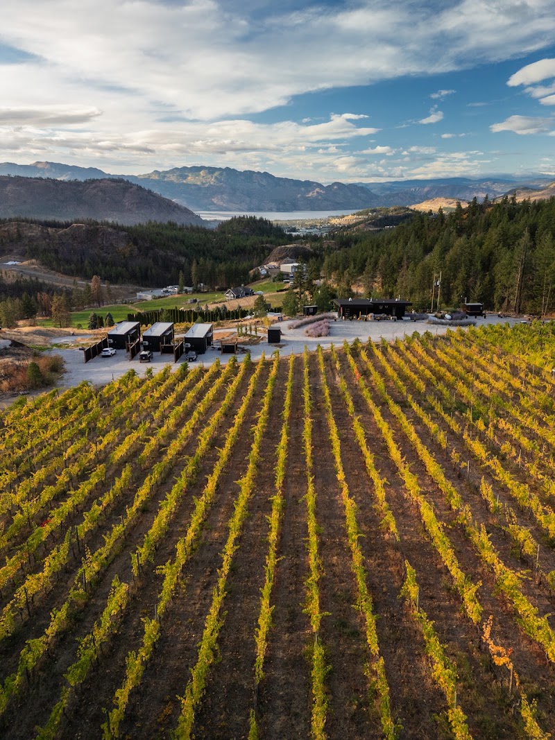 Niche Wine Company — photo 1