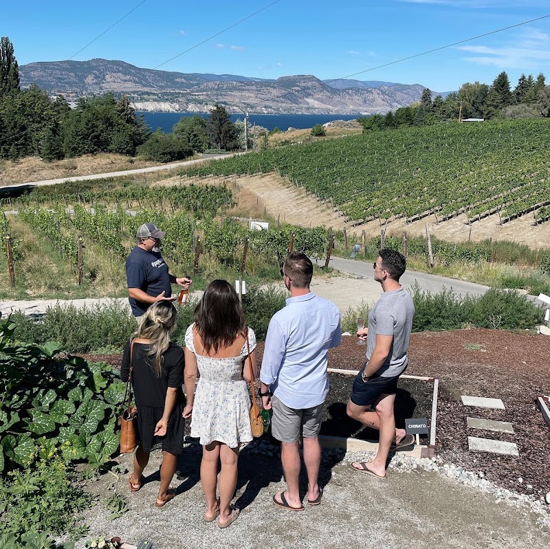 Bella Wines 2