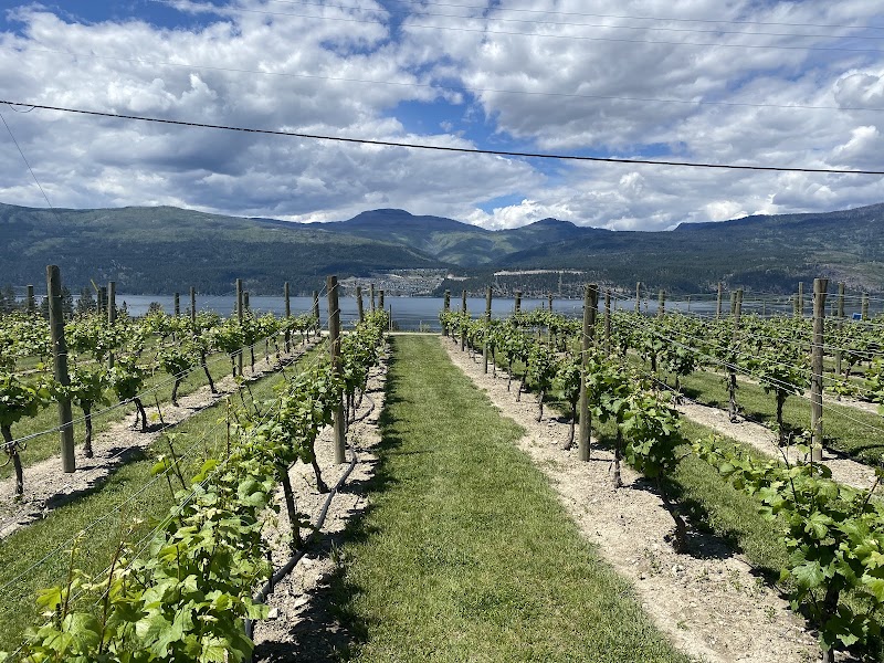 50th Parallel Estate Winery 3